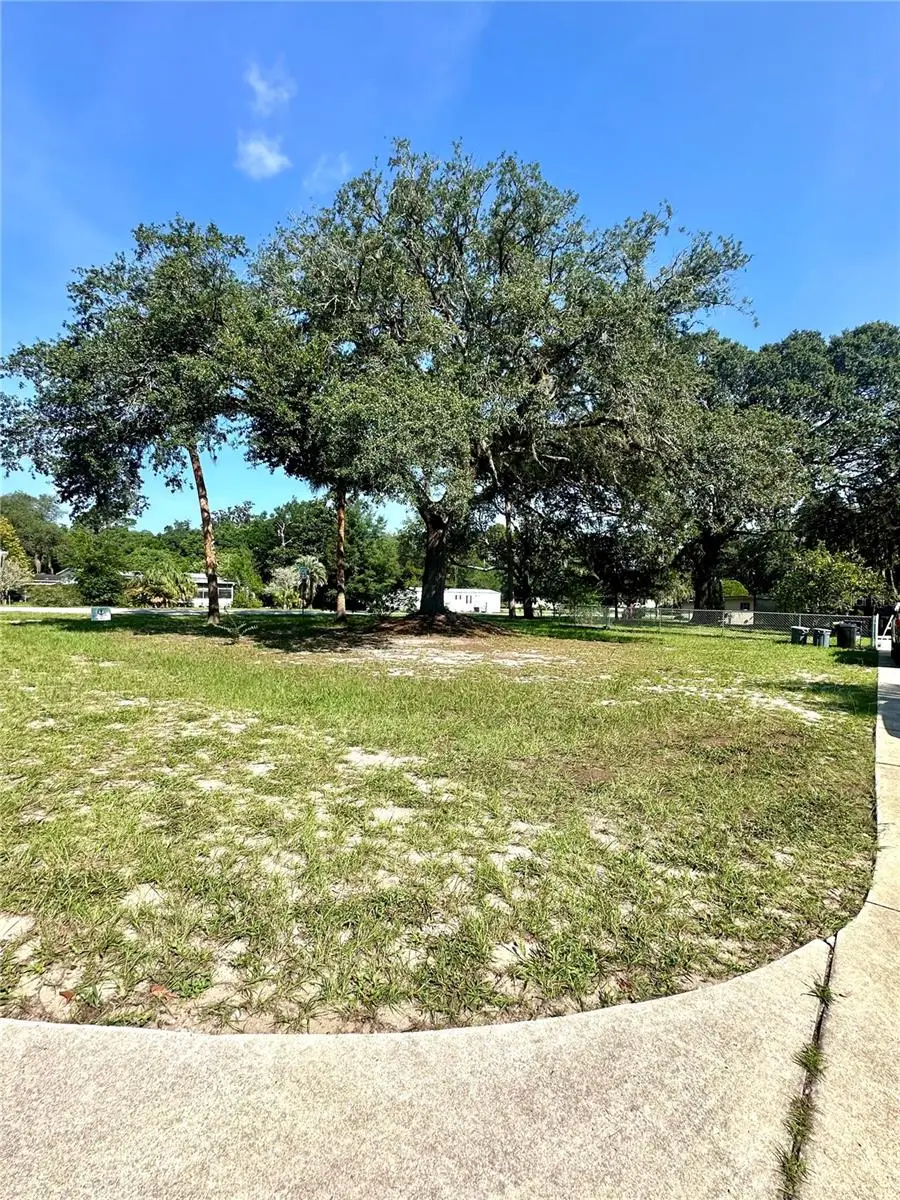 202 Ash Street, Interlachen, FL 32148 - #3