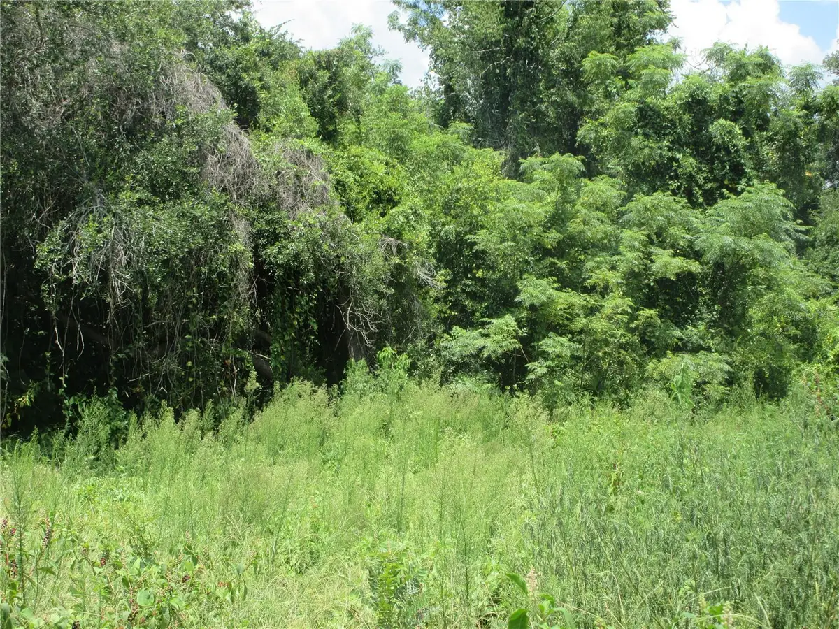 TBD SE 18th Street, Silver Springs, FL 34488 - #1