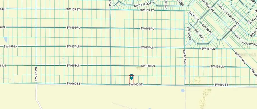 TBD SW 160th Street, Dunnellon, FL 34432 - #3