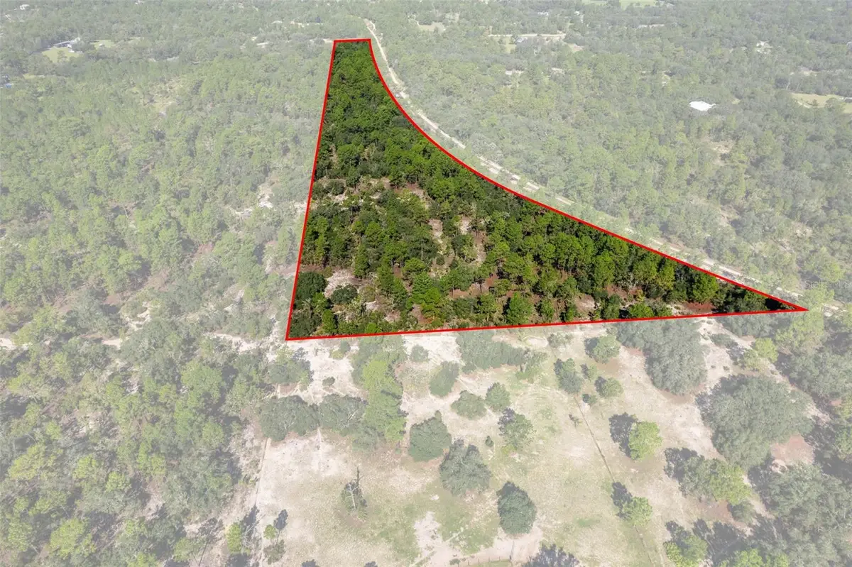 10806 N Statue Point, Dunnellon, FL 34433 - #1