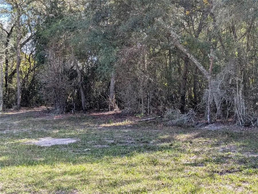 4114 E Camp Izzard Place, Dunnellon, FL 34434 - #2