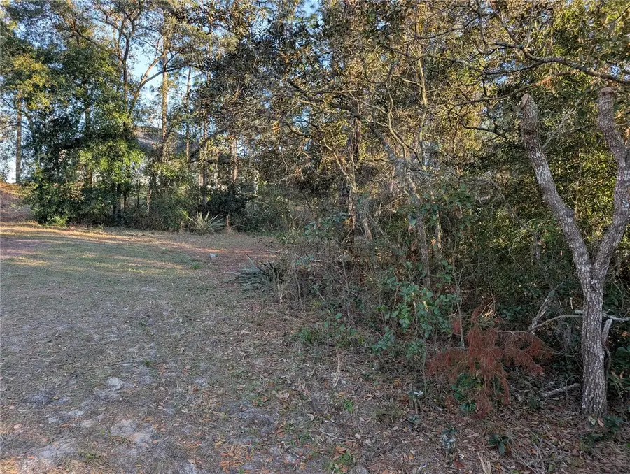 8949 N Lansen Way, Citrus Springs, FL 34433 - #3