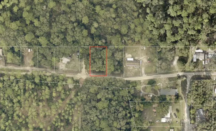 North Road, Altoona, FL 32702 - #3