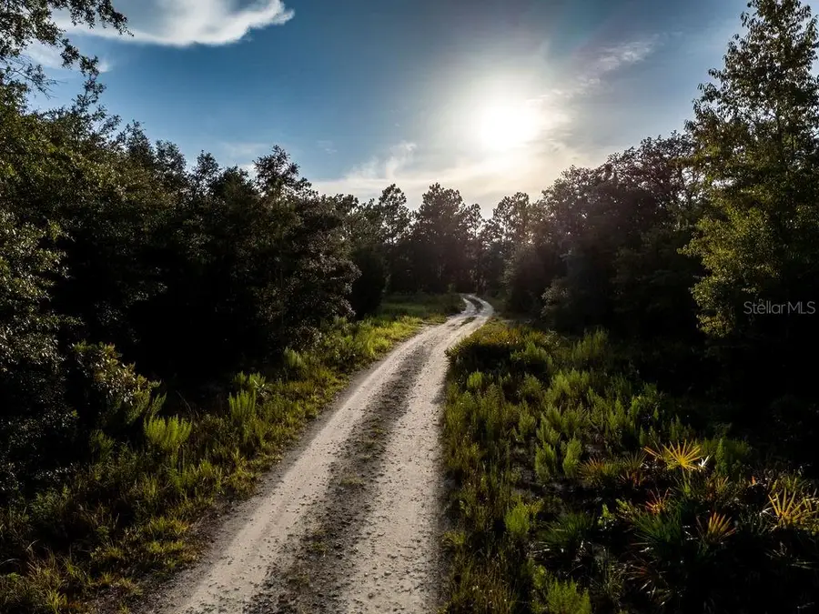 TBD NE 50th Lane, Williston, FL 32696 - #2