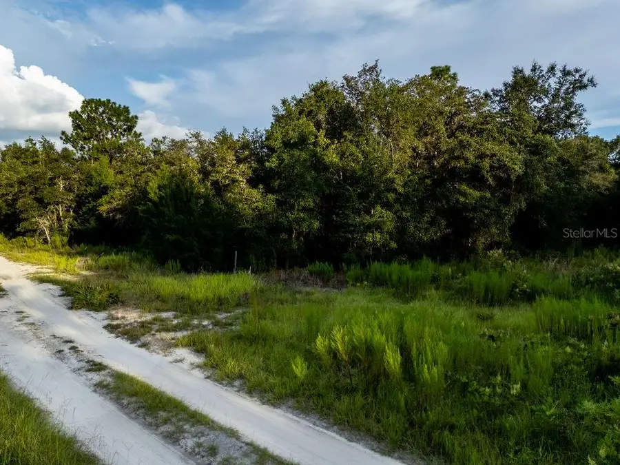 TBD NE 50th Lane, Williston, FL 32696 - #3