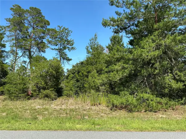 12995 SW 35th Avenue Road, OCALA, FL 34473