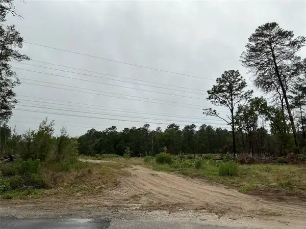 16914 SW 44th Circle, OCALA, FL 34473