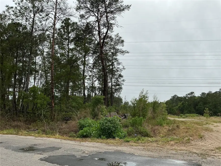 16914 SW 44th Circle, Ocala, FL 34473 - #3