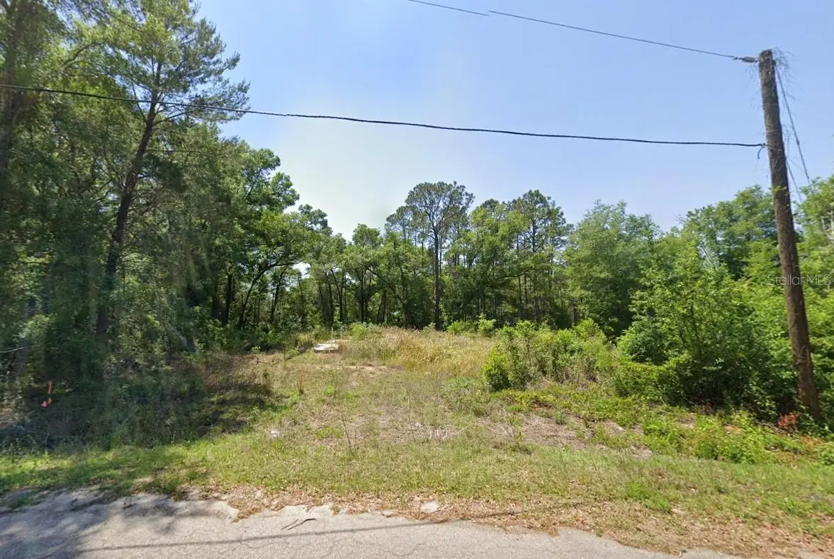 77 Bay Court Pass, Ocklawaha, FL 32179 - #1