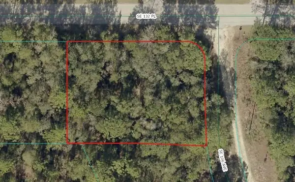 00 SE 132nd Place, OCKLAWAHA, FL 32179