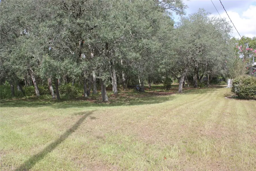 1923 W Mcneal Drive, Citrus Springs, FL 34434 - #3