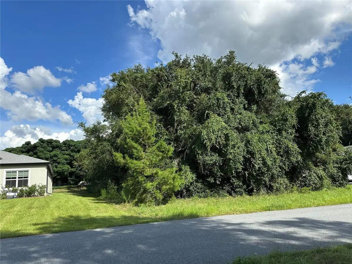 000 Sw 128th Place, Ocala, FL 34473 - #1