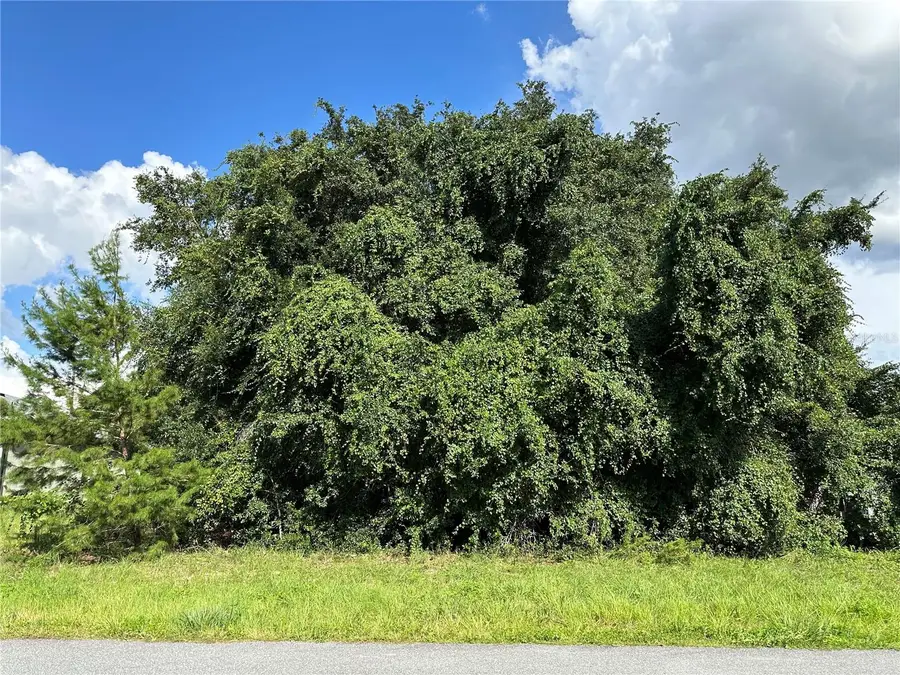 000 Sw 128th Place, Ocala, FL 34473 - #2