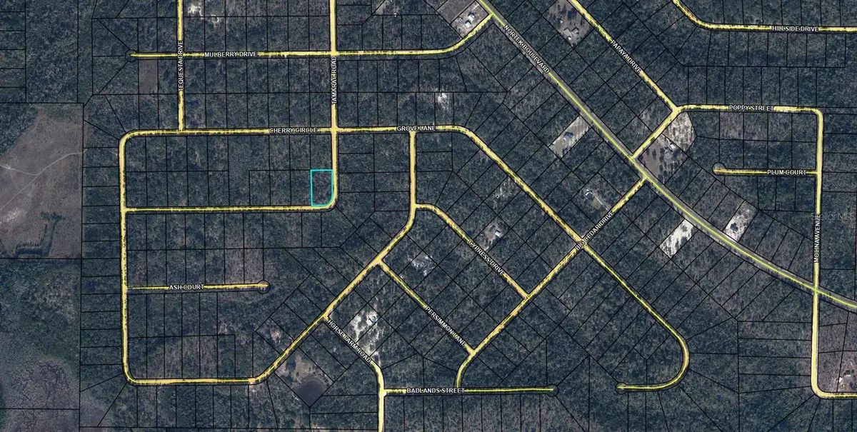 TBD Tamarac Road, Marianna, FL 32448 - #1