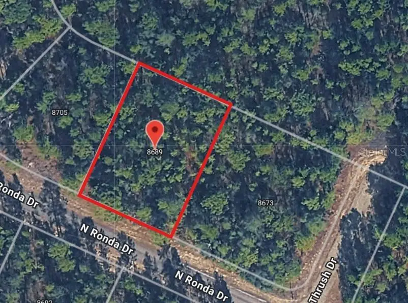8689 N Ronda Drive, Citrus Springs, FL 34433 - #1