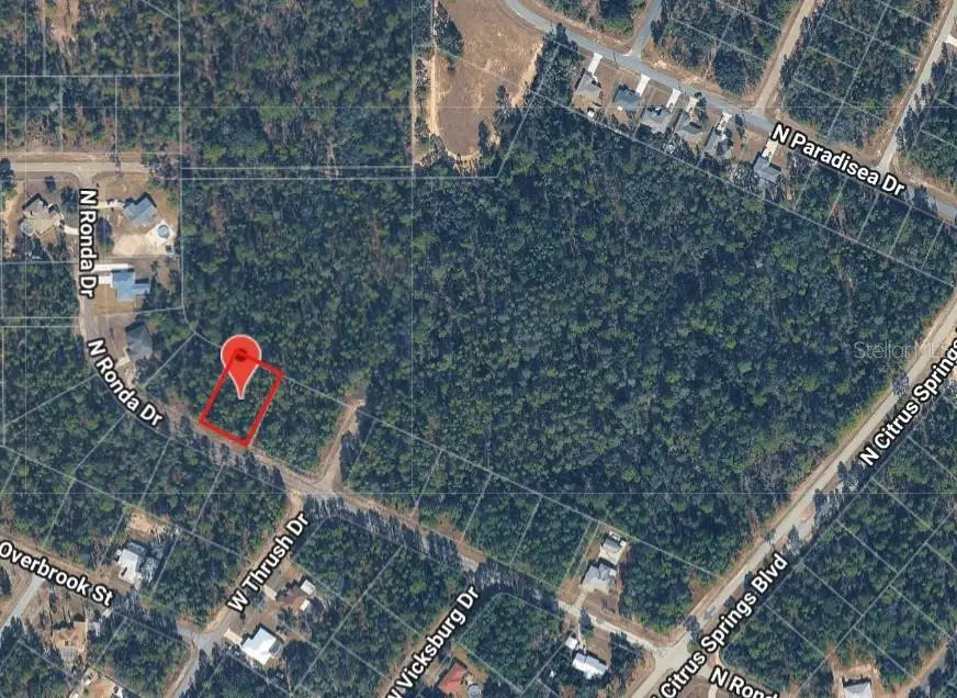 8689 N Ronda Drive, Citrus Springs, FL 34433 - #2