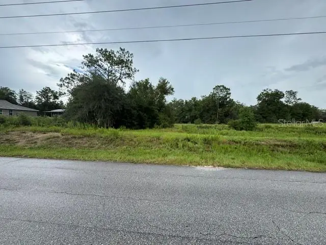 00 SW 204th Avenue, Dunnellon, FL 34431 - #2