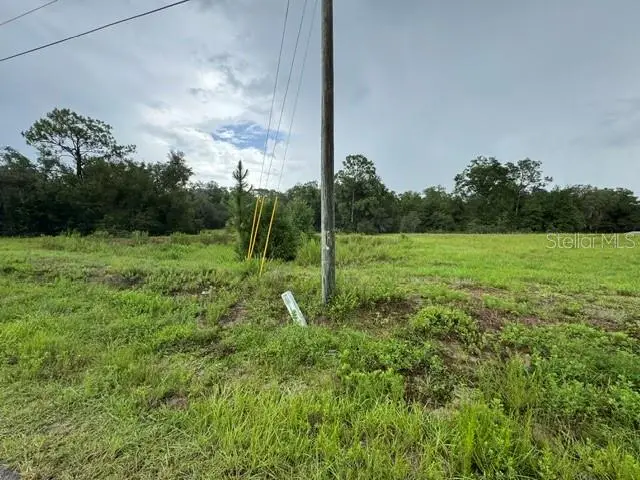 00 SW 204th Avenue, Dunnellon, FL 34431 - #3