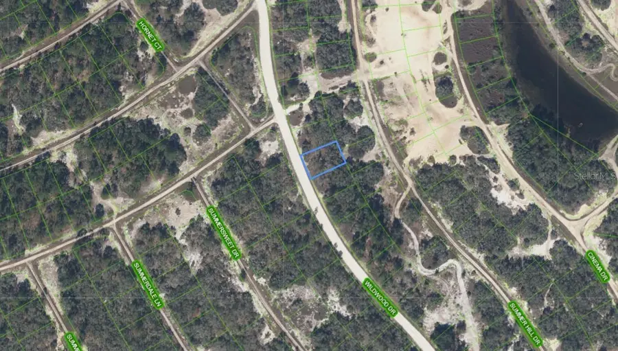 323 Wildwood Drive, Lake Placid, FL 33852 - #2