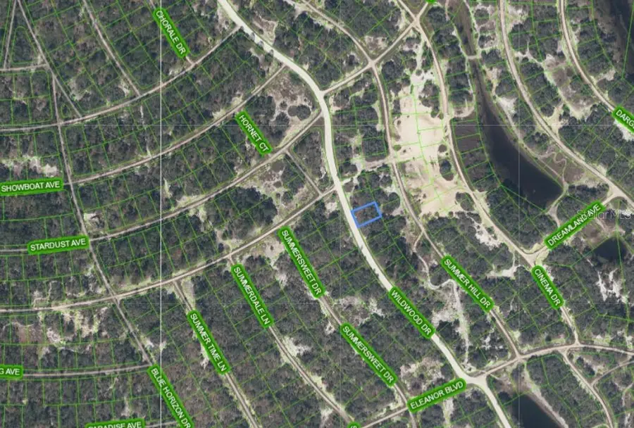 323 Wildwood Drive, Lake Placid, FL 33852 - #3