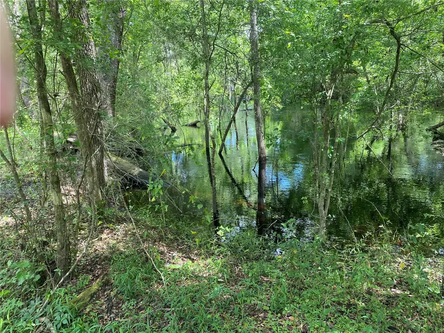 TBD2 SW 129th Boulevard, Webster, FL 33597 - #2