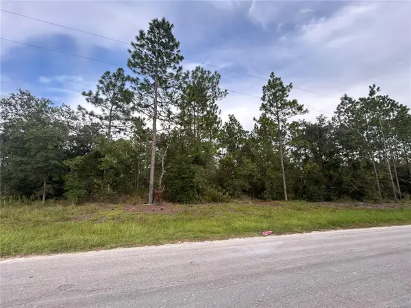 TBD NE 150th Avenue, WILLISTON, FL 32696