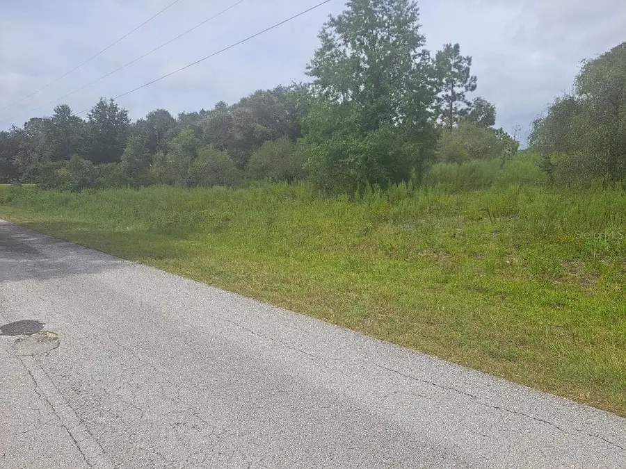 00 SE 125th Court, Dunnellon, FL 34431 - #2