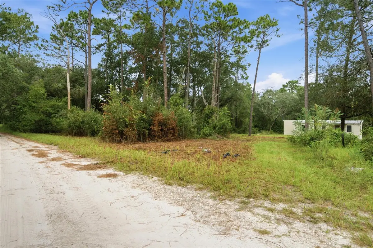 8565 SW 156th Place, Dunnellon, FL 34432 - #1