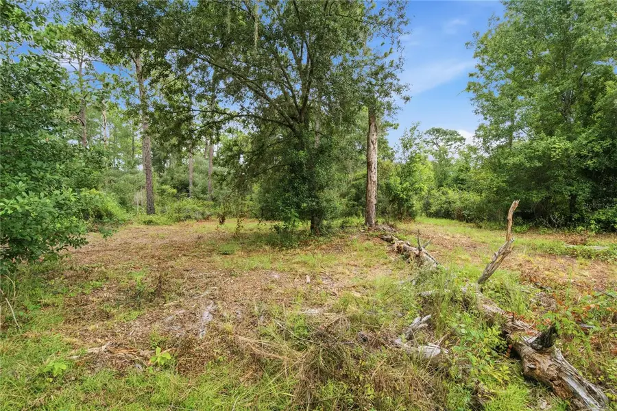 8565 SW 156th Place, Dunnellon, FL 34432 - #2