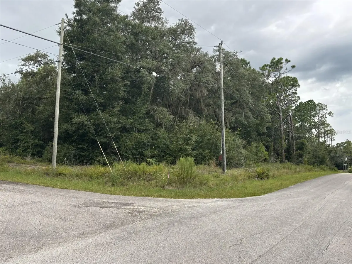 0 SW South Wind Court, Dunnellon, FL 34431 - #1