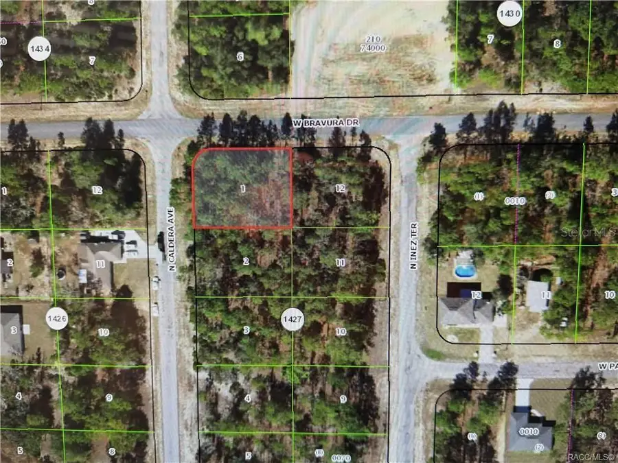 10599 N Caldera Avenue, Citrus Springs, FL 34433 - #2
