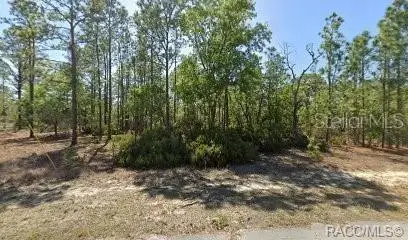 10584 N Inez Terrace, Citrus Springs, FL 34433 - #1