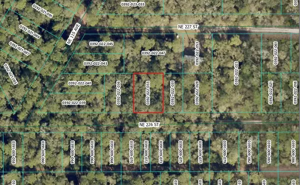 NE 226th Street, ORANGE SPRINGS, FL 32182