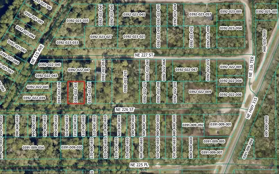 NE 226th Street, Orange Springs, FL 32182 - #2