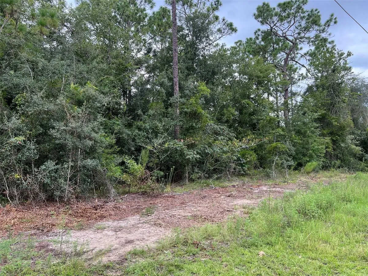 TBD SW 167th Avenue, Ocala, FL 34481 - #1