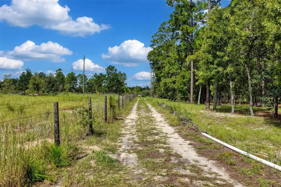 1411 SE State Road 121, Morriston, FL 32668 - #3