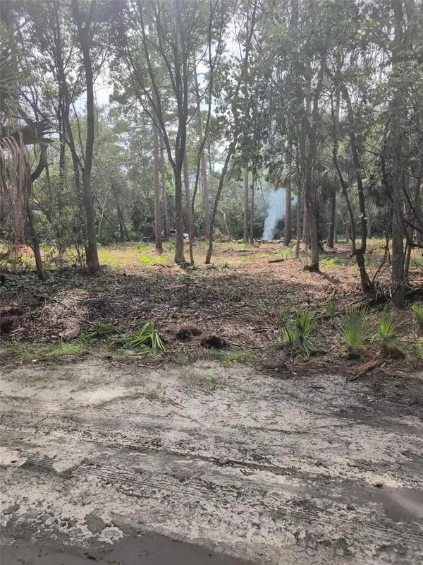 Marie Avenue, DELAND, FL 32720