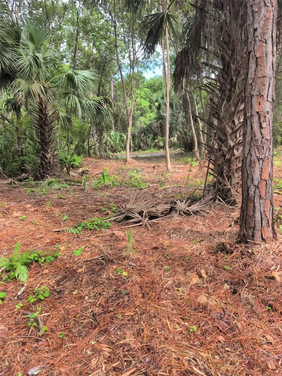 Marie Avenue, Deland, FL 32720 - #2
