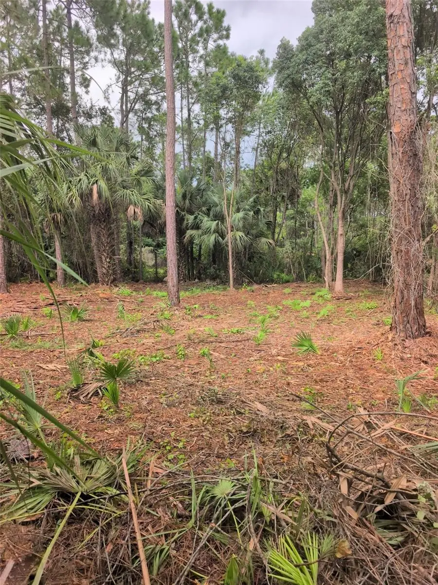 Marie Avenue, Deland, FL 32720 - #3