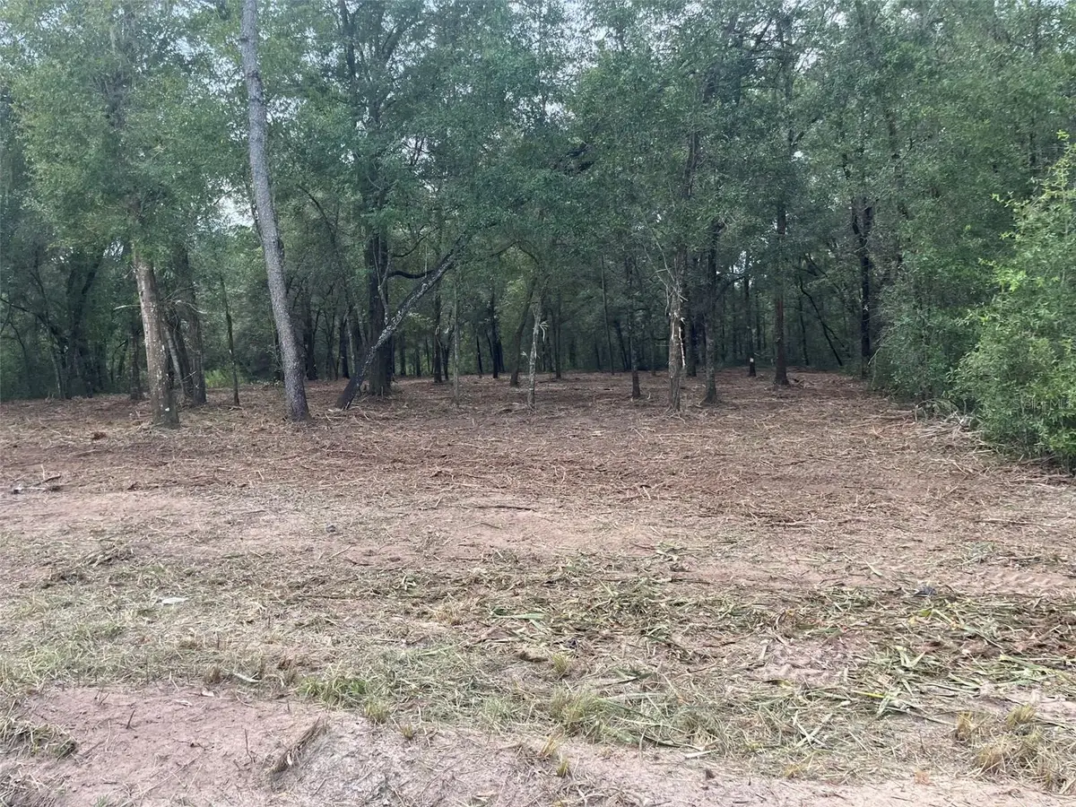 2 SW 150th Court, Ocala, FL 34481 - #1