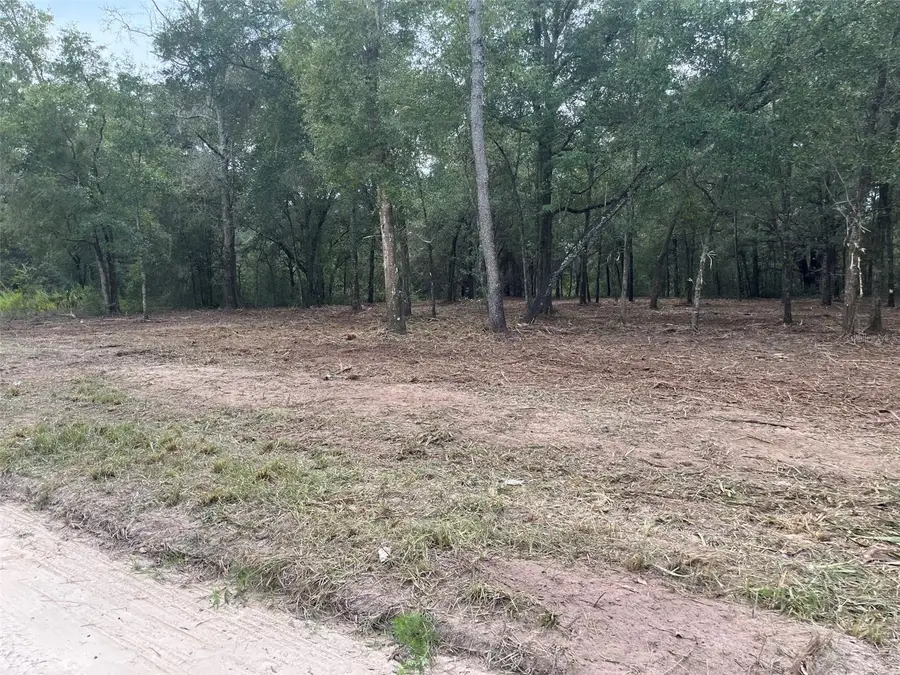 2 SW 150th Court, Ocala, FL 34481 - #2