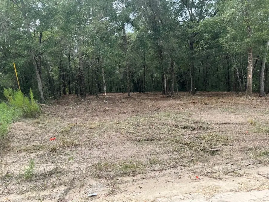 2 SW 150th Court, Ocala, FL 34481 - #3