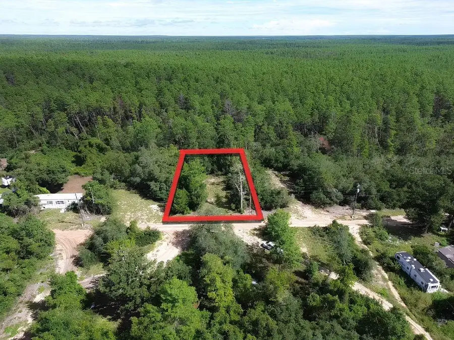 20525 SE 140th Street, Umatilla, FL 32784 - #2