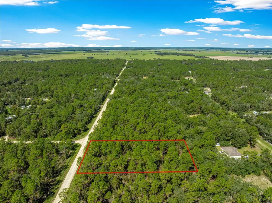 TBD SW 89th Street, Dunnellon, FL 34432 - #2