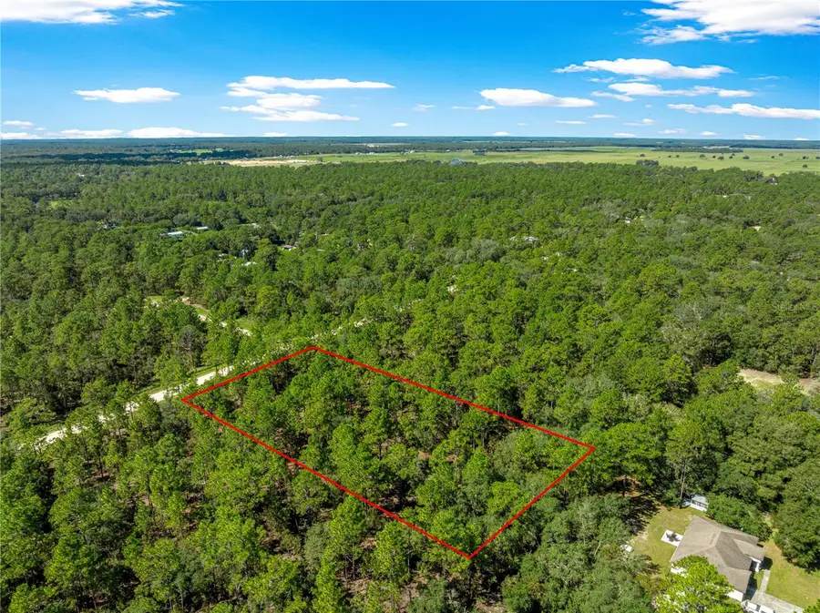 TBD SW 89th Street, Dunnellon, FL 34432 - #3