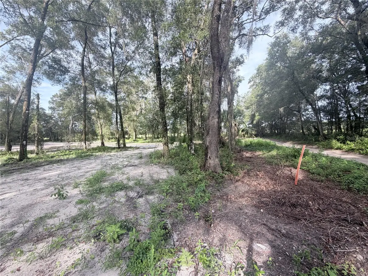 SW 150th, Dunnellon, FL 34432 - #1