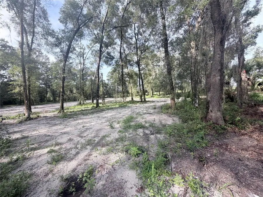 SW 150th, Dunnellon, FL 34432 - #2