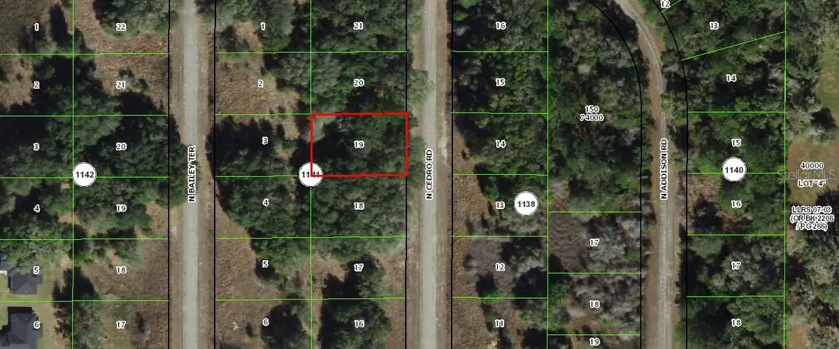 7918 N Cedro Road, Citrus Springs, FL 34434 - #1