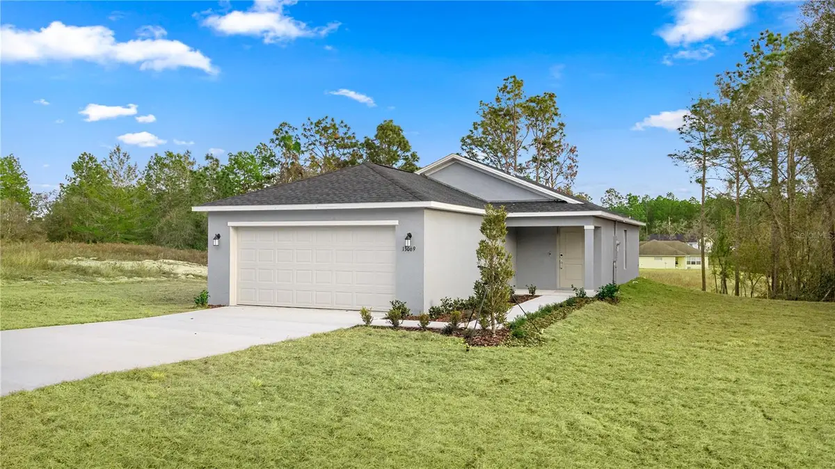 12891 SW 87th Avenue, Ocala, FL 34476 - #1
