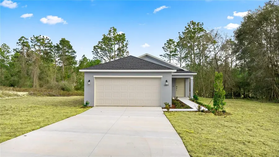 12891 SW 87th Avenue, Ocala, FL 34476 - #3